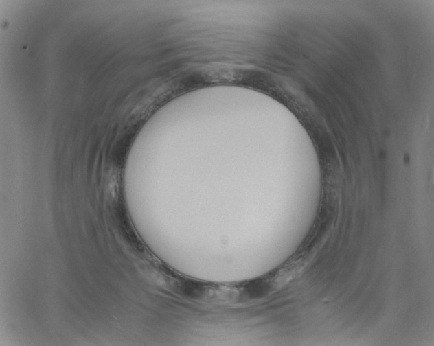 X0000060800125200512082159