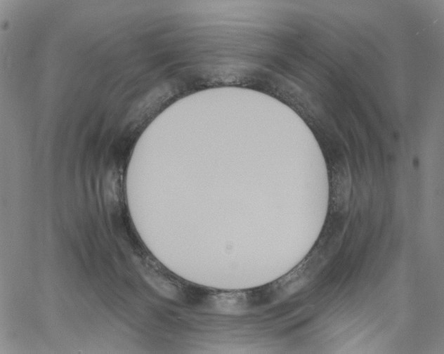 X0000060800126200512082159