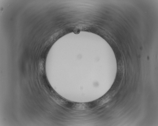 X0000060800127200512082159