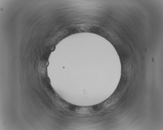 X0000060800129200512082159