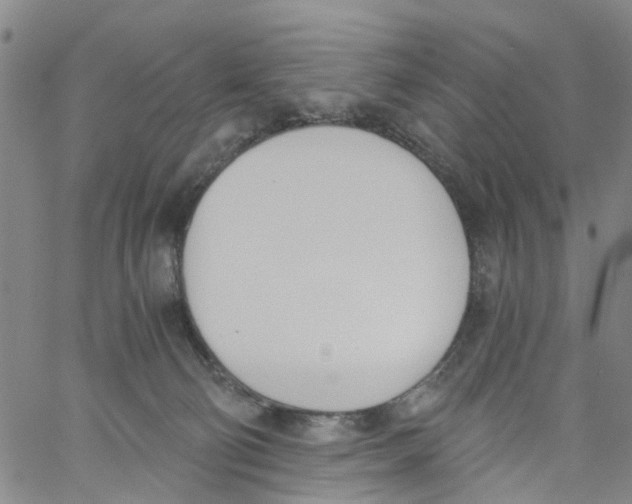 X0000060800130200512082159