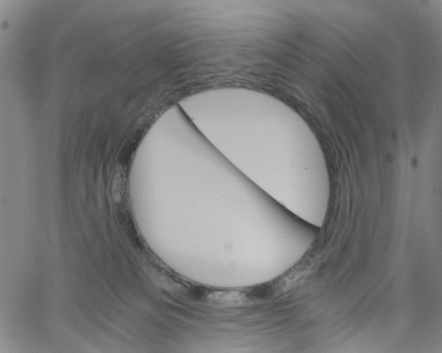 X0000060800133200512082159