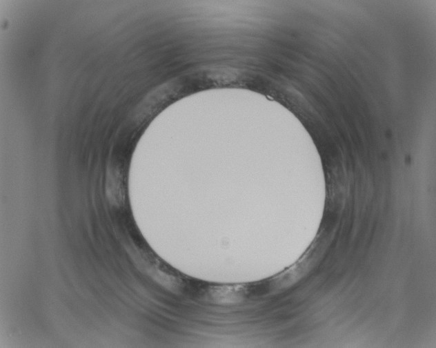 X0000060800136200512082159