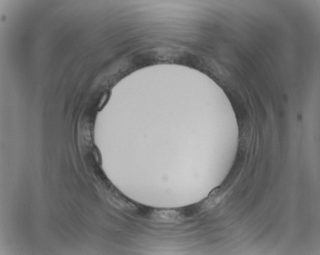 X0000060800137200512082159