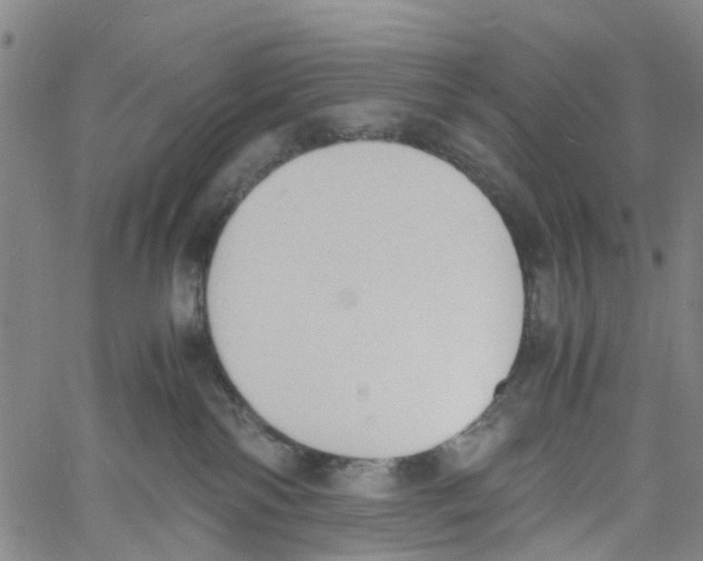 X0000060800138200512082159