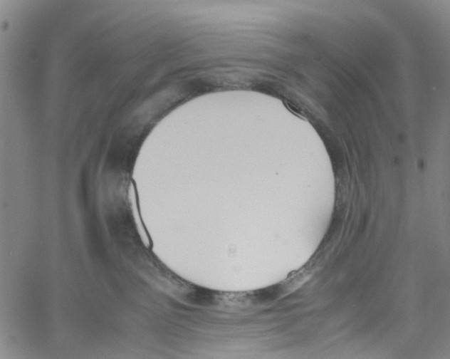 X0000060800141200512082159