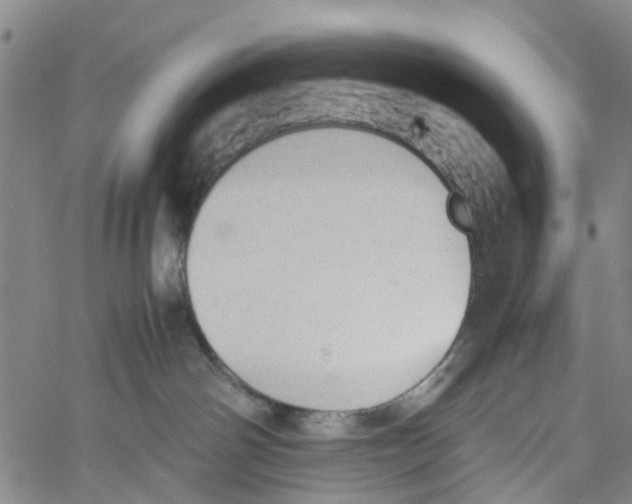 X0000060800142200512082159