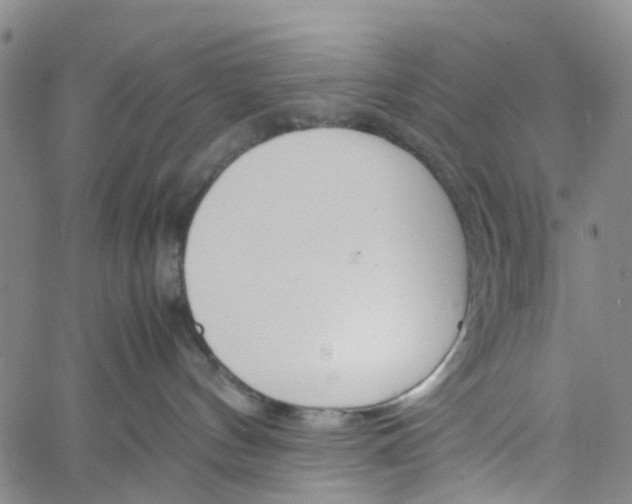 X0000060800144200512082159