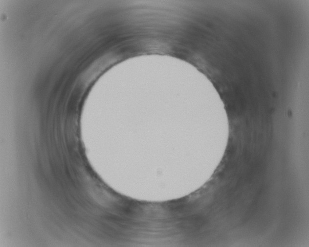 X0000060800146200512082158