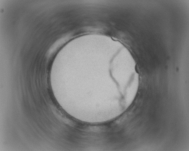 X0000060800149200512082158