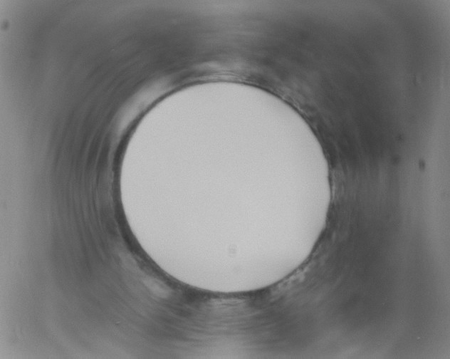 X0000060800150200512082158