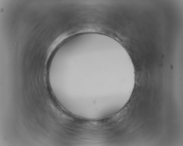 X0000060800152200512082158