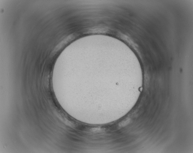 X0000060800153200512082158