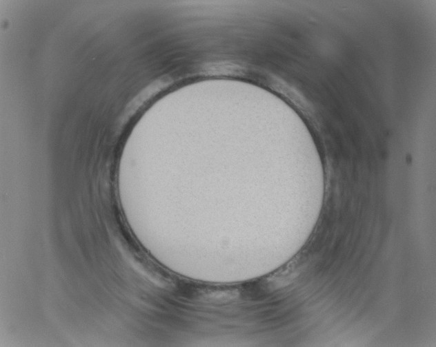 X0000060800155200512082158