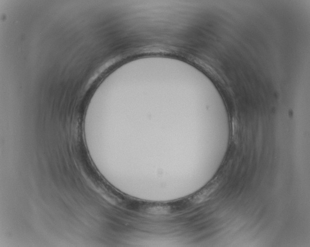 X0000060800156200512082158