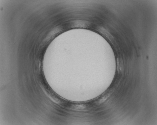 X0000060800157200512082158