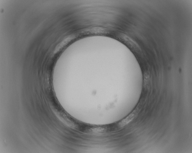 X0000060800158200512082158