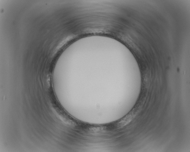 X0000060800160200512082158