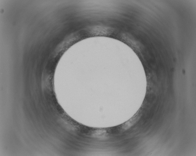 X0000060800162200512082159