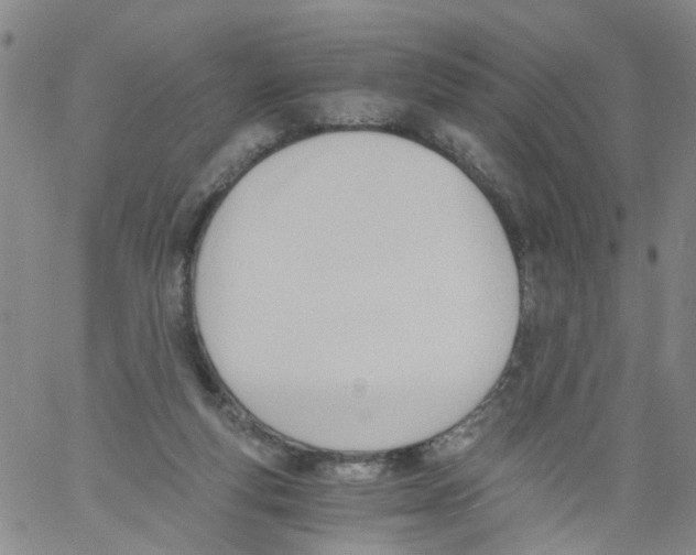 X0000060800163200512082159