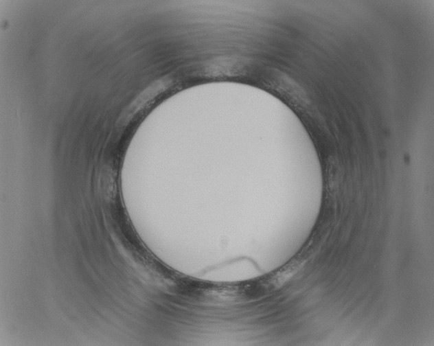 X0000060800164200512082159