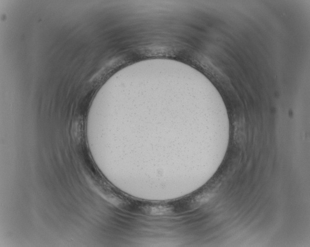 X0000060800165200512082159