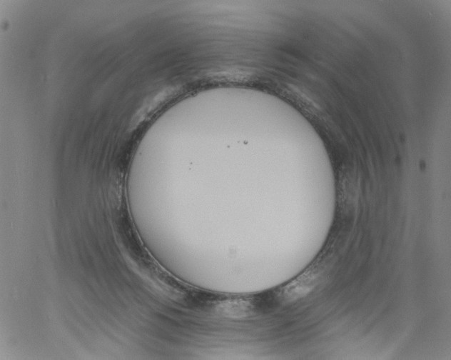 X0000060800168200512082159