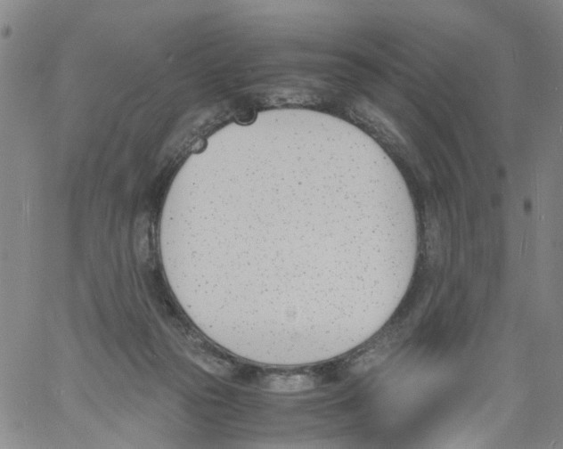 X0000060800169200512082159