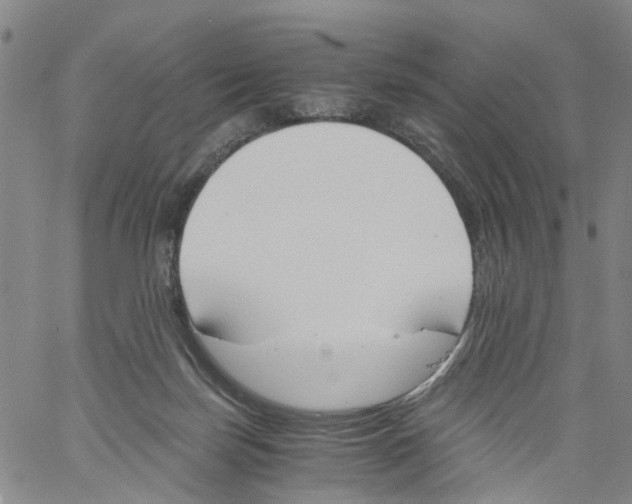 X0000060800171200512082159