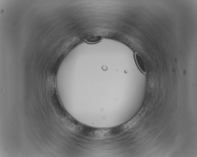 X0000060800172200512082159