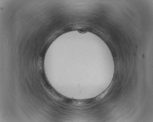 X0000060800174200512082159