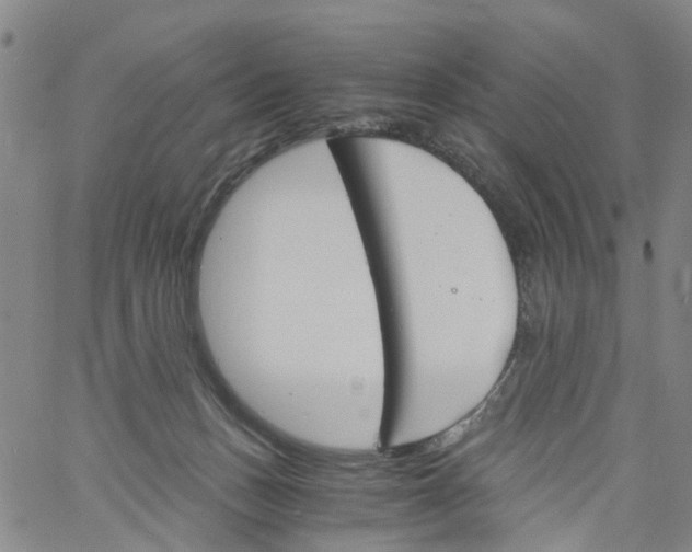 X0000060800175200512082159