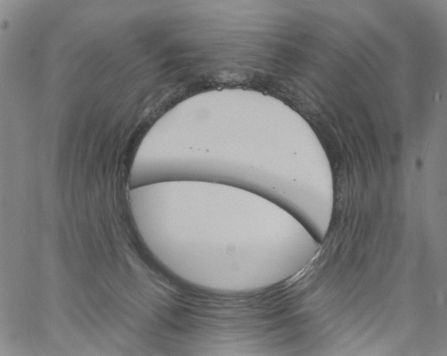 X0000060800176200512082159