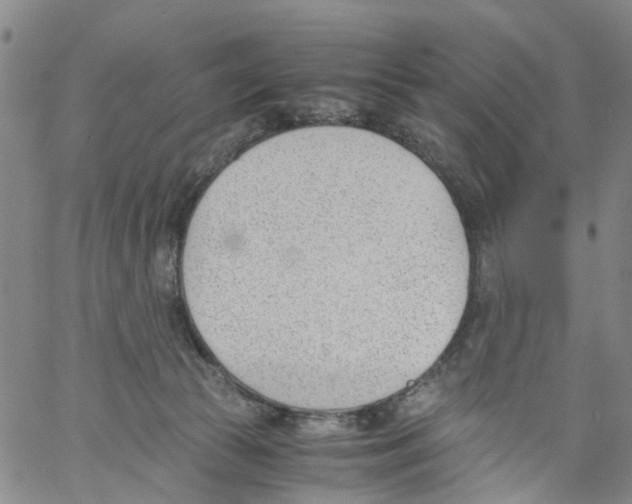 X0000060800177200512082159