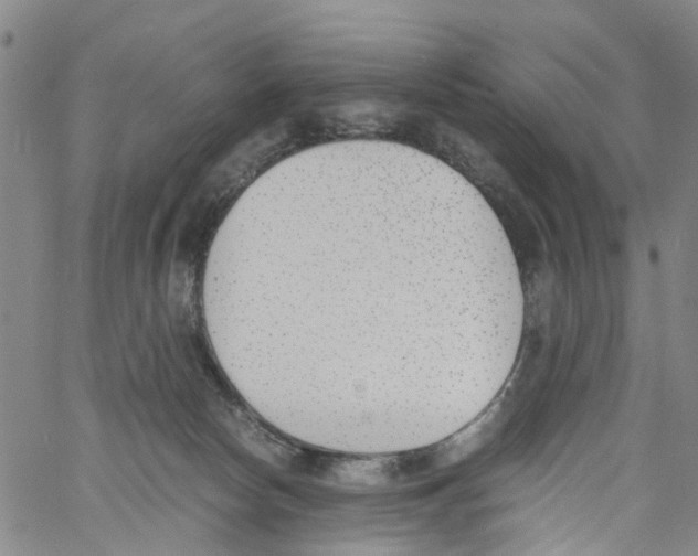 X0000060800178200512082159