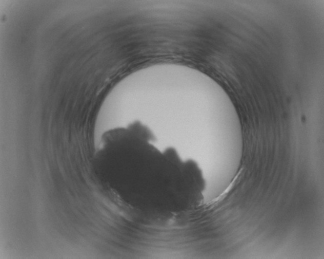 X0000060800179200512082159