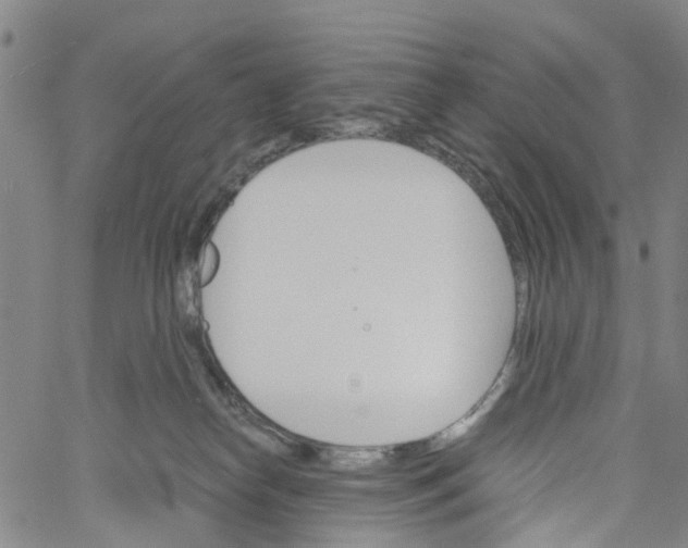 X0000060800182200512082159