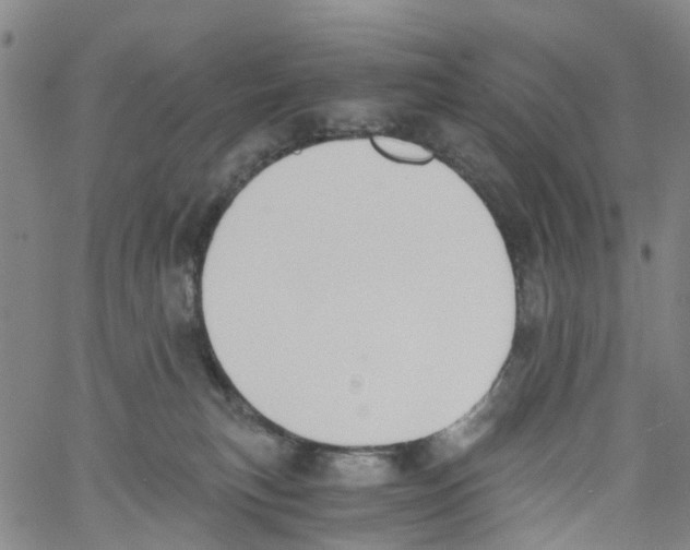 X0000060800183200512082159