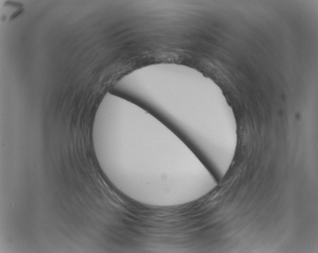 X0000060800185200512082159