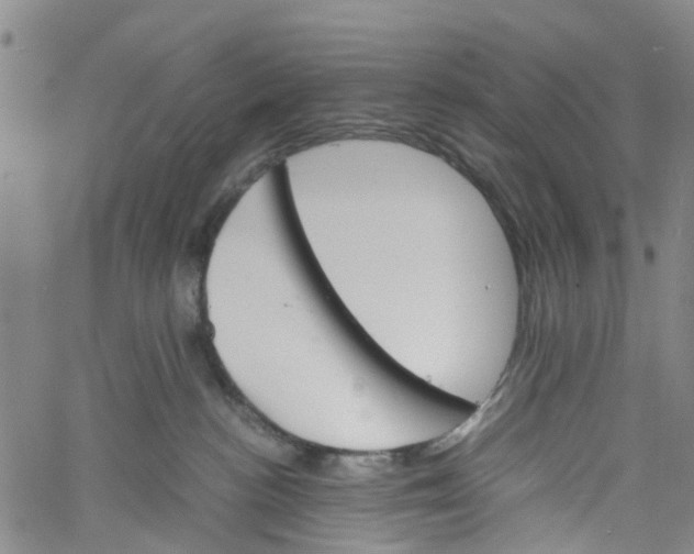 X0000060800188200512082159