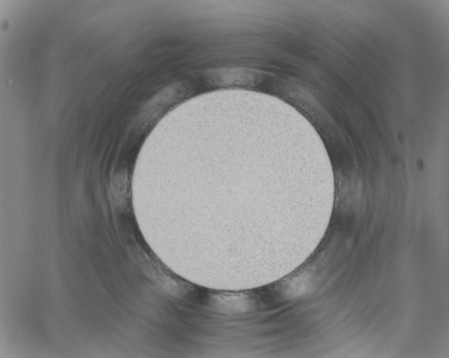 X0000060800189200512082159