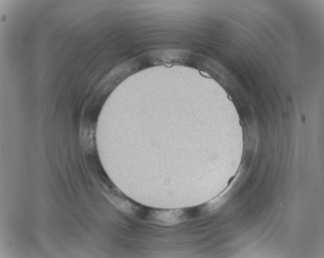 X0000060800191200512082159