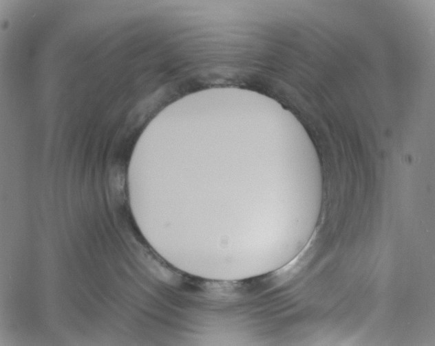 X0000060800192200512082159