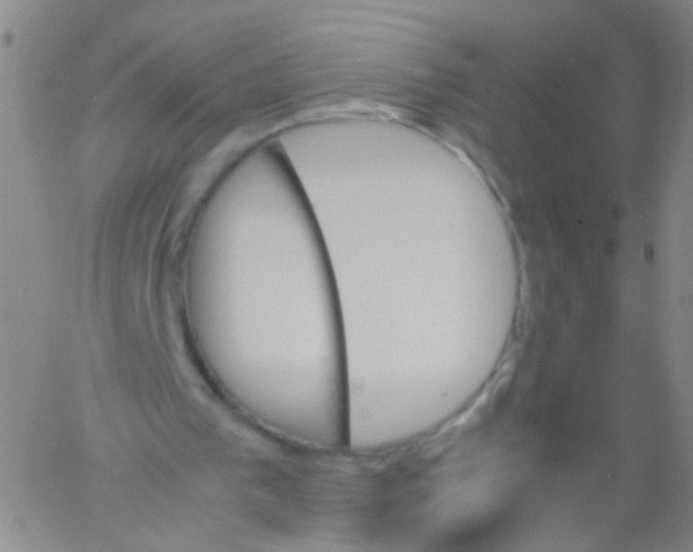 X0000060800193200512082158