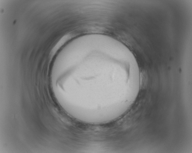 X0000060800195200512082158