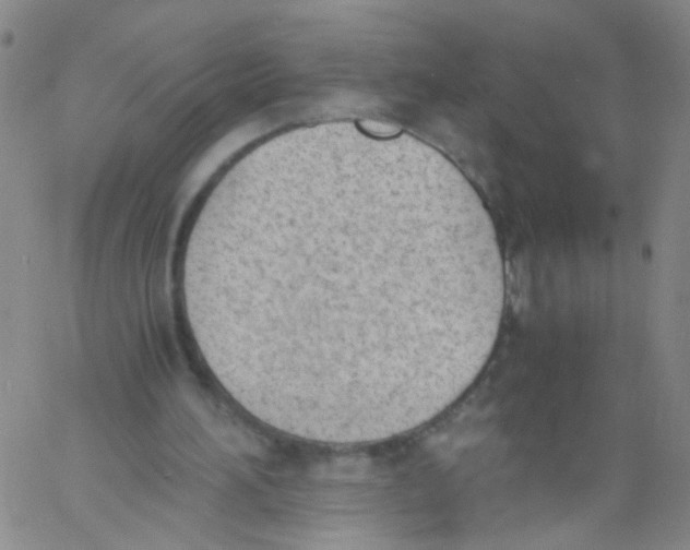 X0000060800196200512082158