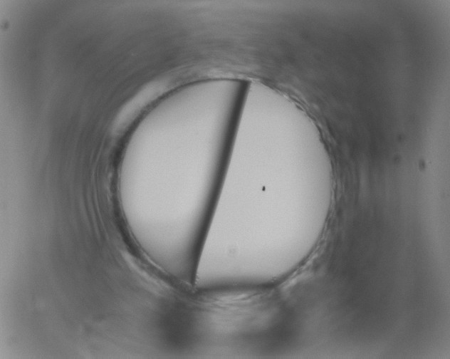 X0000060800197200512082158