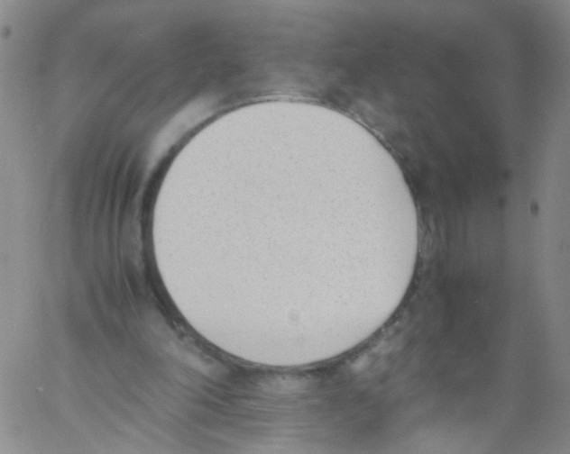 X0000060800198200512082158