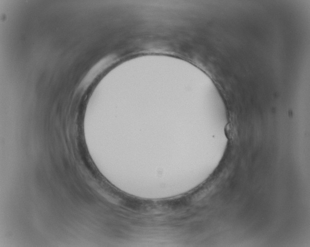 X0000060800199200512082158