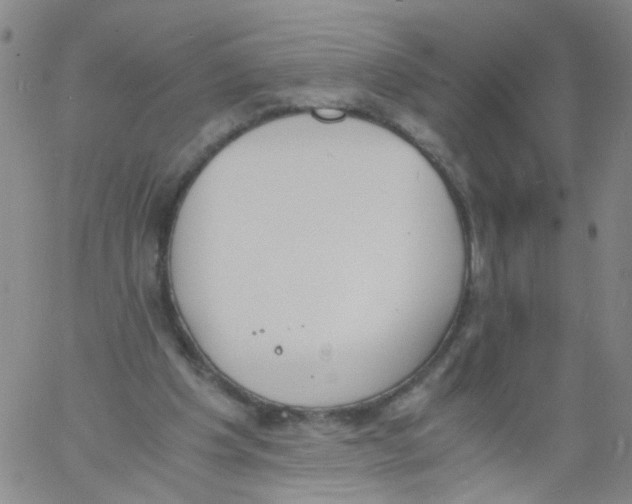 X0000060800201200512082158